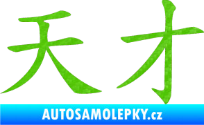 Samolepka Čínský znak Genius 3D karbon zelený kawasaki