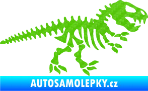 Samolepka Dinosaurus kostra 001 pravá 3D karbon zelený kawasaki