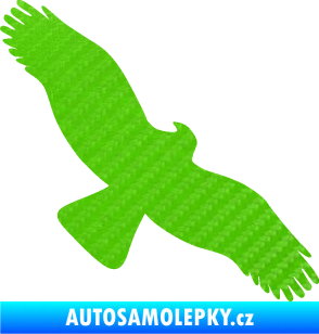 Samolepka Dravec na sklo 001 pravá 3D karbon zelený kawasaki