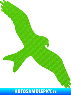 Samolepka Dravec na sklo 002 pravá 3D karbon zelený kawasaki