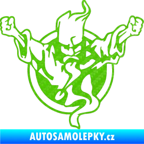 Samolepka Duch 001 pravá 3D karbon zelený kawasaki