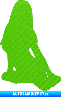 Samolepka Erotická žena 004 levá 3D karbon zelený kawasaki