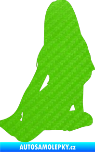 Samolepka Erotická žena 004 pravá 3D karbon zelený kawasaki