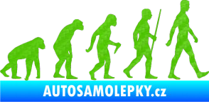 Samolepka Evoluce 001 pravá 3D karbon zelený kawasaki