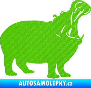 Samolepka Hroch 002 pravá 3D karbon zelený kawasaki