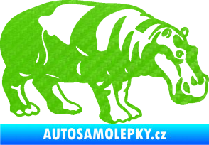 Samolepka Hroch 003 pravá 3D karbon zelený kawasaki