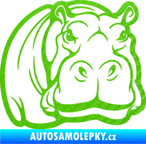 Samolepka Hroch 004 pravá 3D karbon zelený kawasaki