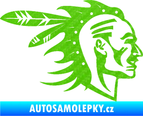 Samolepka Indián 003 pravá 3D karbon zelený kawasaki