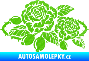 Samolepka Interiér 004 levá růže šípková 3D karbon zelený kawasaki
