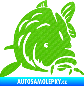 Samolepka Kapr 002 pravá 3D karbon zelený kawasaki