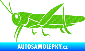 Samolepka Kobylka 002 levá 3D karbon zelený kawasaki