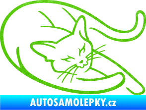 Samolepka Kočka 022 pravá 3D karbon zelený kawasaki