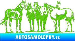 Samolepka Koníci 001 pravá 3D karbon zelený kawasaki