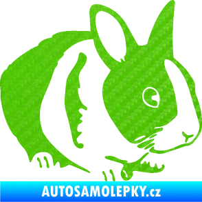 Samolepka Králík 002 pravá zakrslý králíček 3D karbon zelený kawasaki