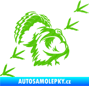 Samolepka Krocan 002 pravá krocaní krok  3D karbon zelený kawasaki