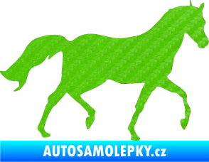 Samolepka Kůň 003 pravá 3D karbon zelený kawasaki