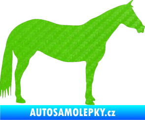 Samolepka Kůň 007 pravá 3D karbon zelený kawasaki