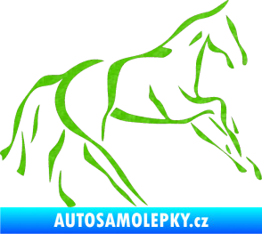 Samolepka Kůň 024 pravá 3D karbon zelený kawasaki