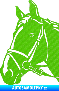 Samolepka Kůň 028 levá hlava s uzdou 3D karbon zelený kawasaki