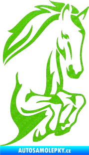 Samolepka Kůň 031 pravá skok 3D karbon zelený kawasaki