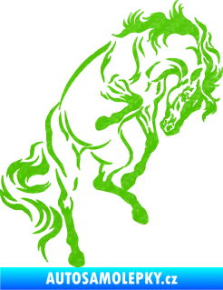 Samolepka Kůň 047 pravá 3D karbon zelený kawasaki