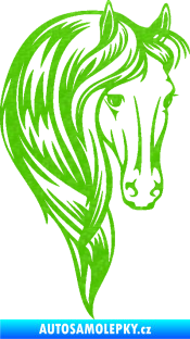 Samolepka Kůň 064 pravá s hřívou 3D karbon zelený kawasaki