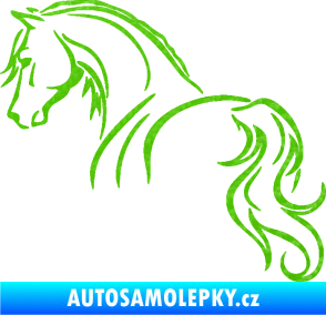 Samolepka Kůň 104 levá 3D karbon zelený kawasaki