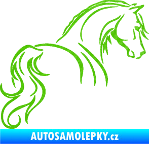 Samolepka Kůň 104 pravá 3D karbon zelený kawasaki