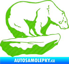 Samolepka Lední medvěd pravá 3D karbon zelený kawasaki