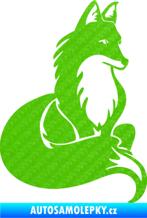 Samolepka Liška 003 pravá 3D karbon zelený kawasaki