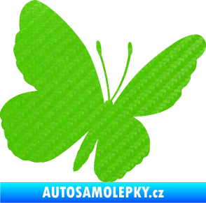 Samolepka Motýl 009 pravá 3D karbon zelený kawasaki