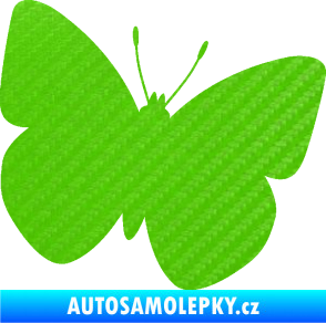 Samolepka Motýl 011 pravá 3D karbon zelený kawasaki