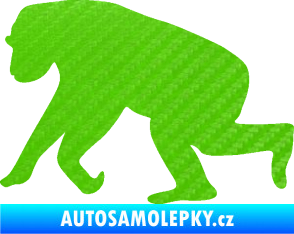 Samolepka Opice 001 levá 3D karbon zelený kawasaki