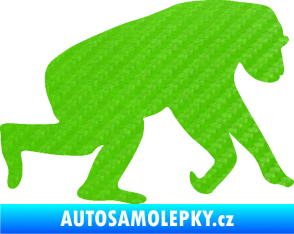 Samolepka Opice 001 pravá 3D karbon zelený kawasaki