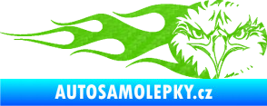 Samolepka Orel 004 pravá 3D karbon zelený kawasaki