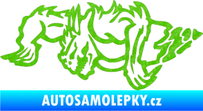 Samolepka Ostnatej levá 3D karbon zelený kawasaki