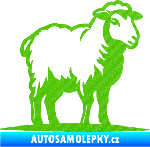 Samolepka Ovce 002 pravá 3D karbon zelený kawasaki