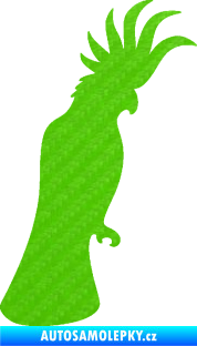 Samolepka Papoušek 003 pravá 3D karbon zelený kawasaki