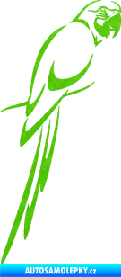 Samolepka Papoušek 005 pravá 3D karbon zelený kawasaki