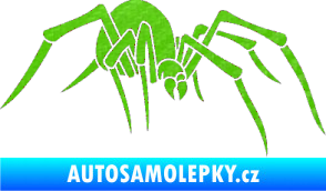Samolepka Pavouk 002 - pravá 3D karbon zelený kawasaki