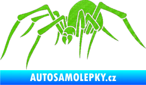 Samolepka Pavouk 002  levá 3D karbon zelený kawasaki