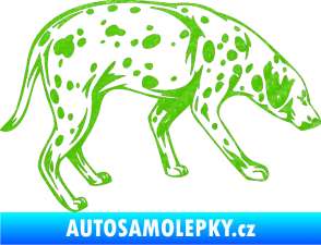 Samolepka Pes 001 pravá Dalmatin 3D karbon zelený kawasaki