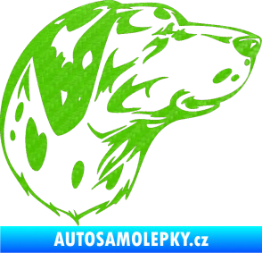 Samolepka Pes 002 pravá Dalmatin 3D karbon zelený kawasaki