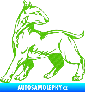 Samolepka Pes 011 levá 3D karbon zelený kawasaki