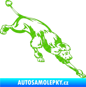 Samolepka Pes 022 pravá Pudl 3D karbon zelený kawasaki