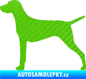 Samolepka Pes 052 levá Ohař 3D karbon zelený kawasaki