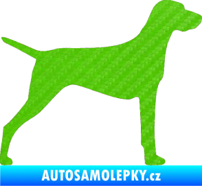Samolepka Pes 052 pravá Ohař 3D karbon zelený kawasaki