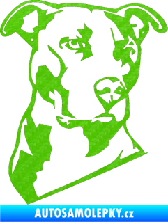 Samolepka Pes 054 pravá Pitbull 3D karbon zelený kawasaki