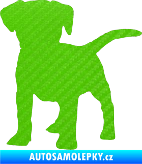 Samolepka Pes 056 levá štěně 3D karbon zelený kawasaki