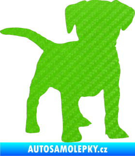 Samolepka Pes 056 pravá štěně 3D karbon zelený kawasaki